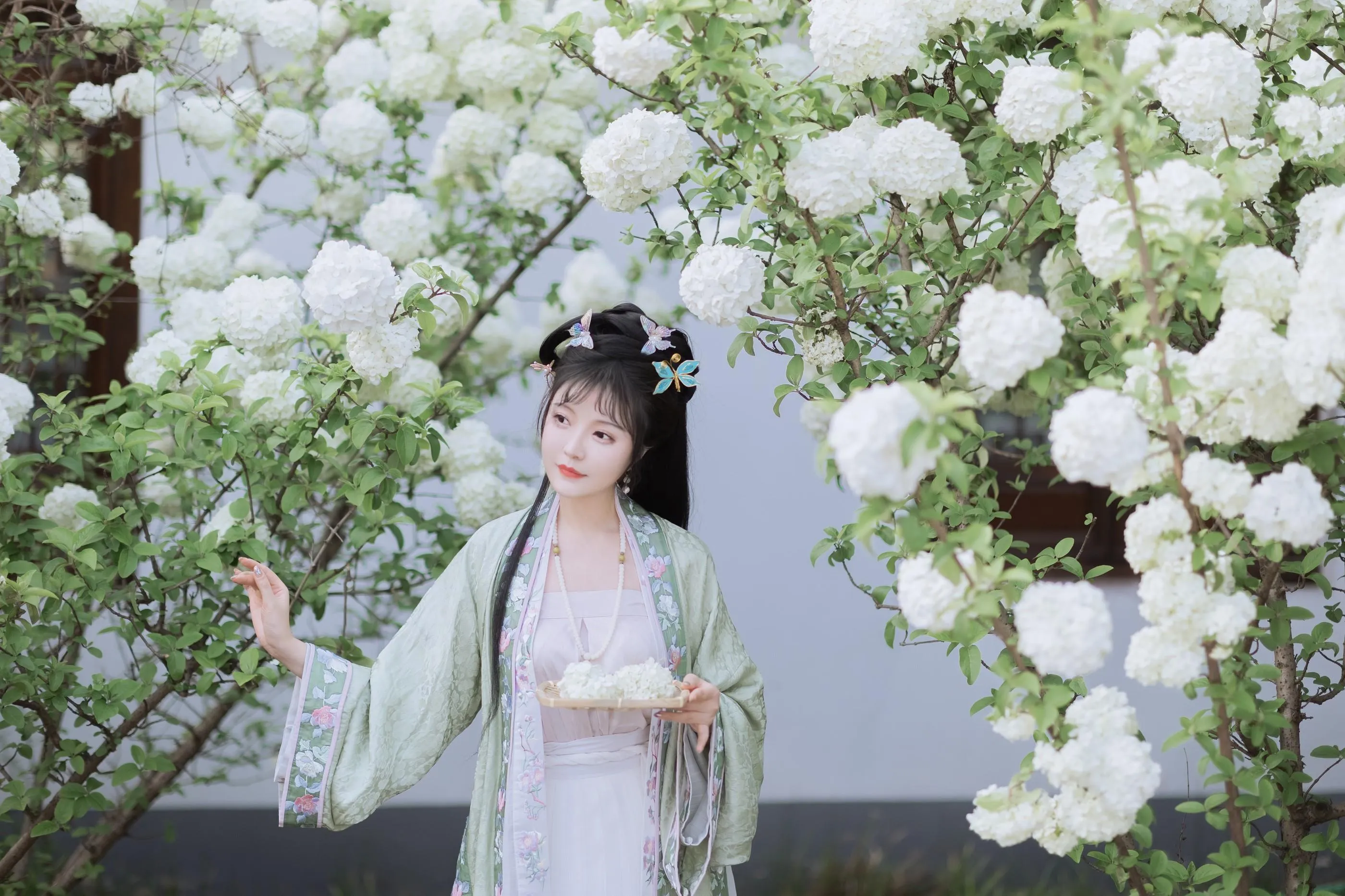 [艺图语] 2022.06.09 探春 璐璐haley [42P]插图